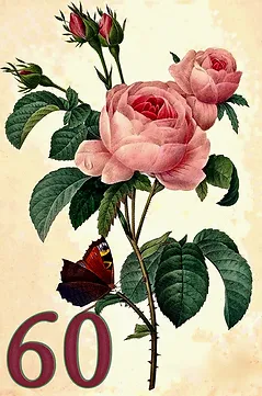 ABC27 - 60
