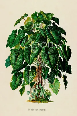B39a