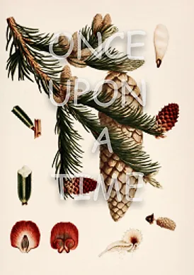 B82a